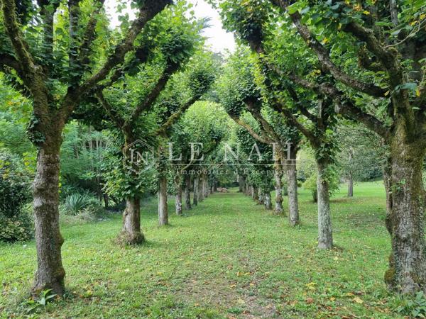 Belle demeure des XVIe et XIXe siècles, avec 4 gîtes, dans un parc boisé de 7 ha, à 15 km de Blois