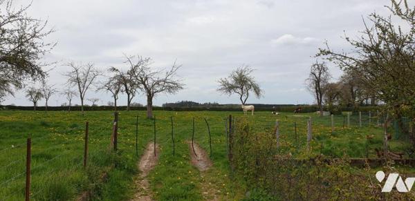Une parcelle de terrain à bâtir de 1009m2 (lot a)