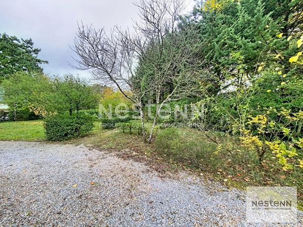 Terrain Saint Avertin 980 m2 constructible environnement boisé