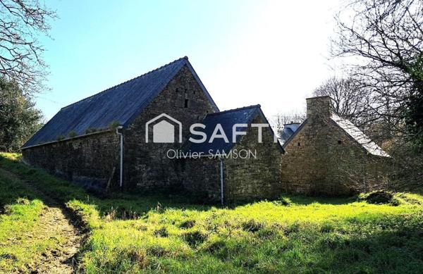 Propriété avec dépendances sur terrain d'1 hectare