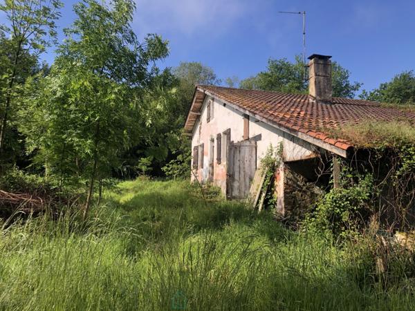 Métairie landaise du XVIIIe siècle à rénover – 15 min de Dax