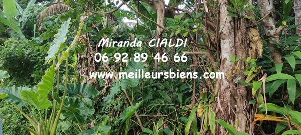 Terrain à Bâtir 1400M2 / LE TREMBLET / SAINT PHILIPPE