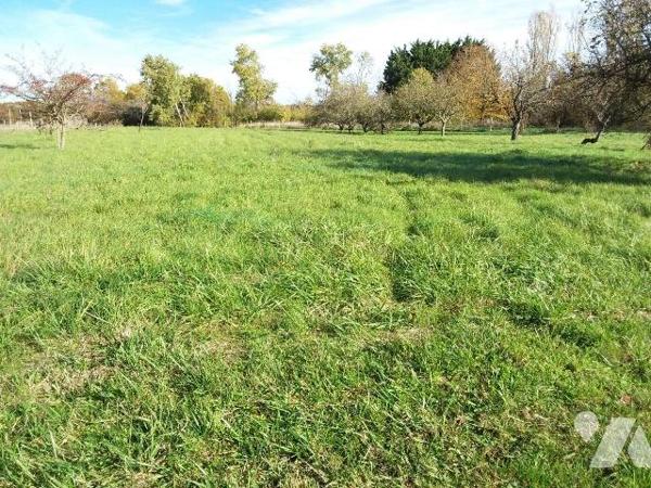 TERRAIN CONSTRUCTIBLE DE 1545 M² A FOUGERES SUR BIEVRE, 10 MNS DE CONTRES
20 MNS DE BLOIS
Cha...