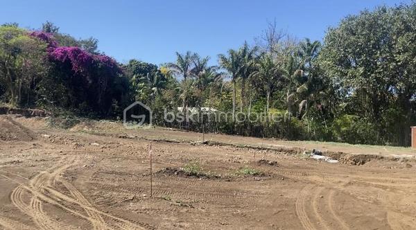 Terrain de 260 m²