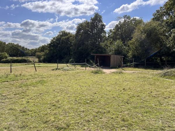 Grange aménagée 4 chambres - grand terrain pour chevaux