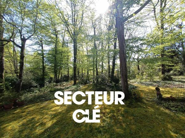 Magnifique propriété avec terrain de 7165m²