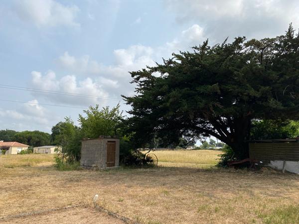 Terrain Saint Hilaire De Riez 3 pièce(s) 1017 m2