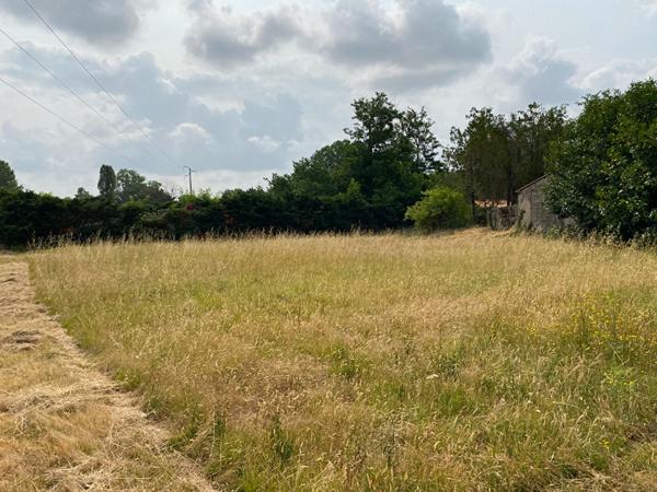 Terrain Saint Hilaire De Riez 3 pièce(s) 1017 m2