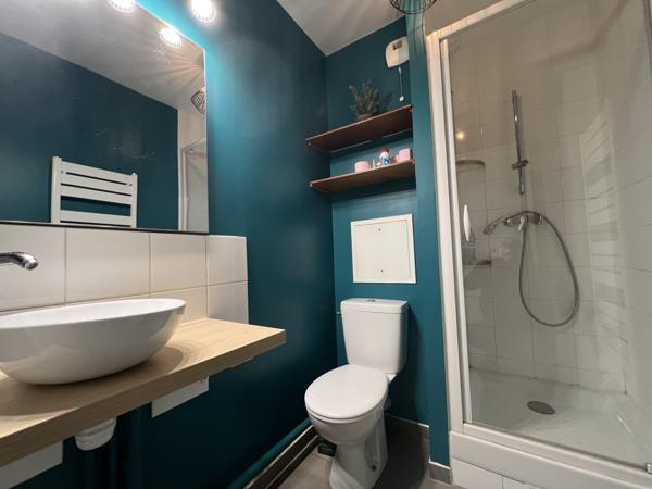 Palaiseau (91120) APPARTEMENT EN DUPLEX