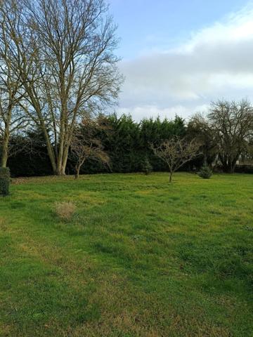 ORESMAUX  Terrain constructible de1 300 m² (Possible de diviser en 2)