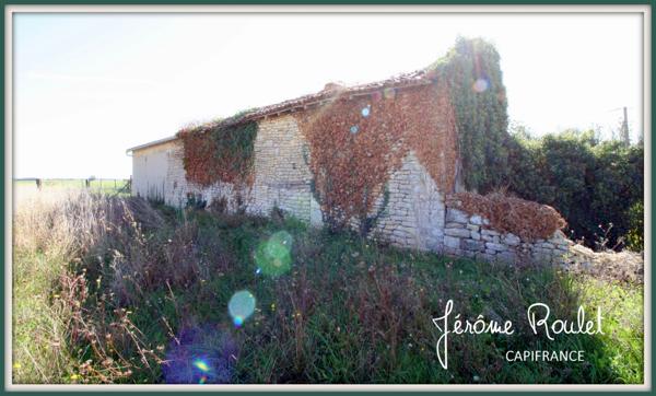 Dpt Vienne (86), à vendre Champigny-En-Rochereau maison à rénover terrain 1 644 m²