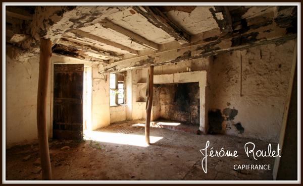 Dpt Vienne (86), à vendre Champigny-En-Rochereau maison à rénover terrain 1 644 m²