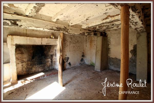 Dpt Vienne (86), à vendre Champigny-En-Rochereau maison à rénover terrain 1 644 m²