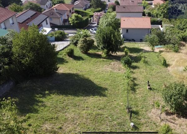 Terrain