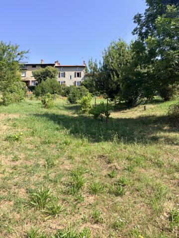 Terrain