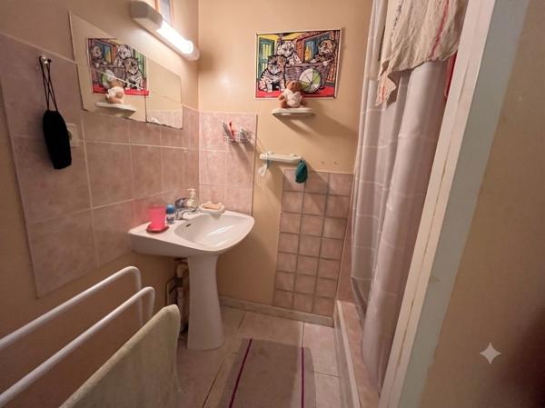 Immeuble 265 500 € Lavaur 240 m² DPE D