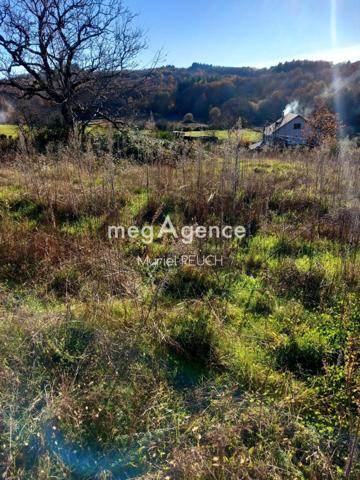 Terrain à LE CHASTANG, 19190 - 2516m²