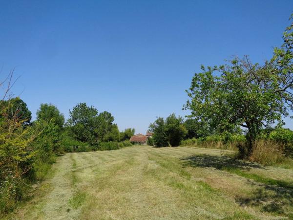 Maison à rénover de 45 m², Terrain de 5020 m² dont 420 m2 constructibles, une partie de vignes.