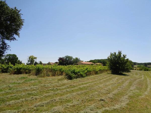 Maison à rénover de 45 m², Terrain de 5020 m² dont 420 m2 constructibles, une partie de vignes.