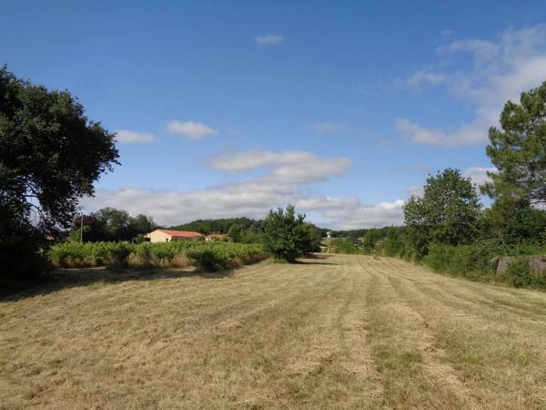 Maison à rénover de 45 m², Terrain de 5020 m² dont 420 m2 constructibles, une partie de vignes.