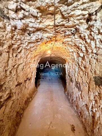 Maison à PARON, 89100 - 13 pièces 306m²