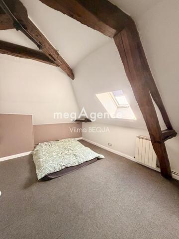 Maison à PARON, 89100 - 13 pièces 306m²