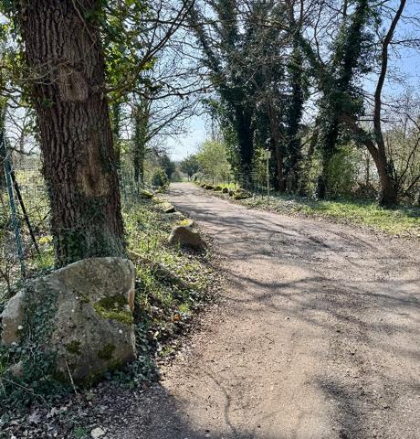 Houdan (78550) Apt 2 pièces avec jardin