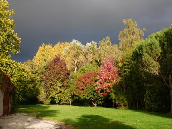 AUBIGNY-LES CLOUZEAUX Maison en pierre 186 m² charme champêtre avec grand parc env. 1 HA