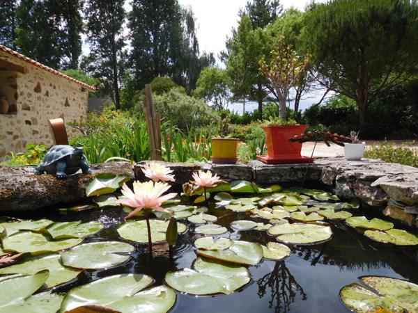 AUBIGNY-LES CLOUZEAUX Maison en pierre 186 m² charme champêtre avec grand parc env. 1 HA