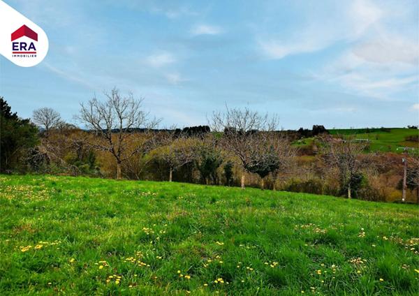 Terrain à bâtir de 1.900m2 à 15' de Figeac