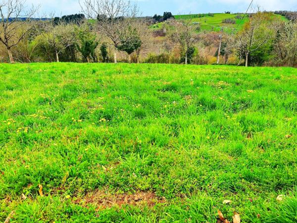 Terrain à bâtir de 1.900m2 à 15' de Figeac