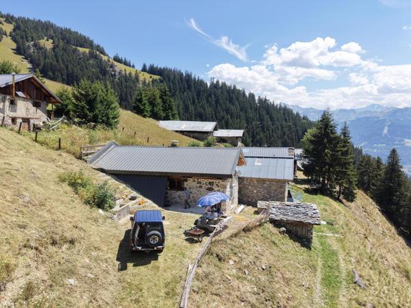 Magnifique Chalet d'Alpage rénové