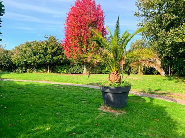 Longère 10 minutes de Vannes