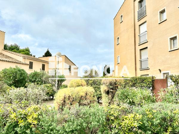 Location Studio meublé 24.98 m² - 21 RUE ANNIBAL Le Barcares 66420