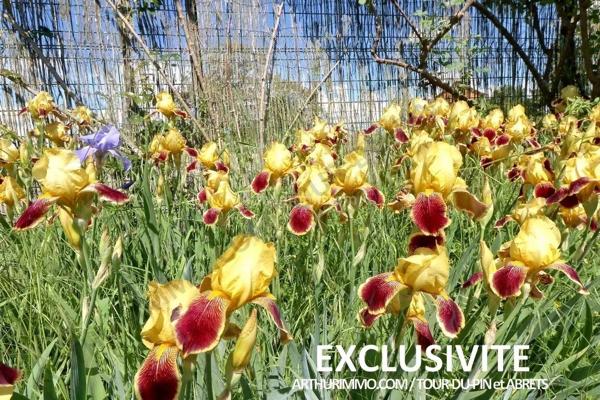 Vente Maison 6 pièces 141 m2 à La Tour-du-Pin