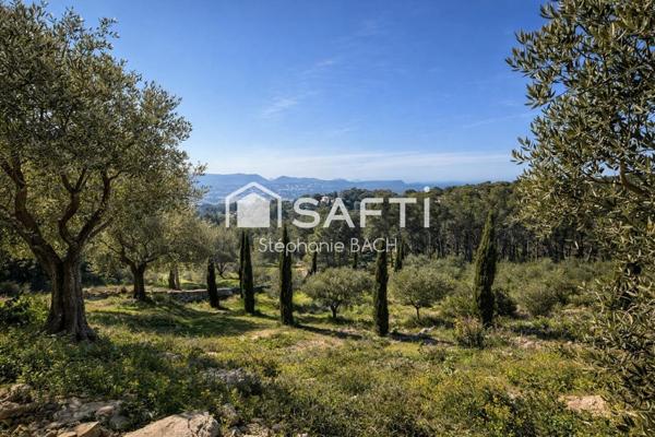 PROPRIÉTÉ D’EXCEPTION — VUE MER PANORAMIQUE — PARC D’UN HECTARE AVEC OLIVERAIE CENTENAIRE