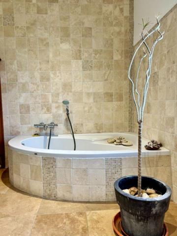 A vendre, superbe maison de plain-pied à BEAURONNE 24400