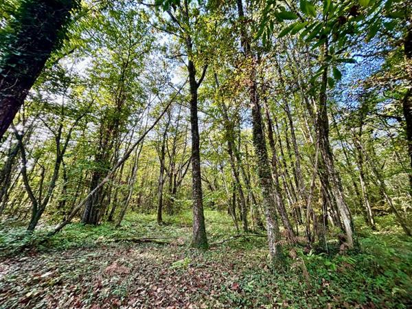 A vendre, superbe maison de plain-pied à BEAURONNE 24400