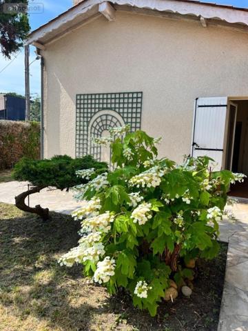 Echoppe à vendre à Bègles en Gironde (33130), ref : 022/1213   
Mairie