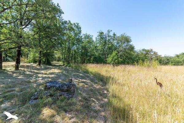 Maison à vendre 265 000 € Saint-Antonin-Noble-Val 5 p 155 m² DPE D