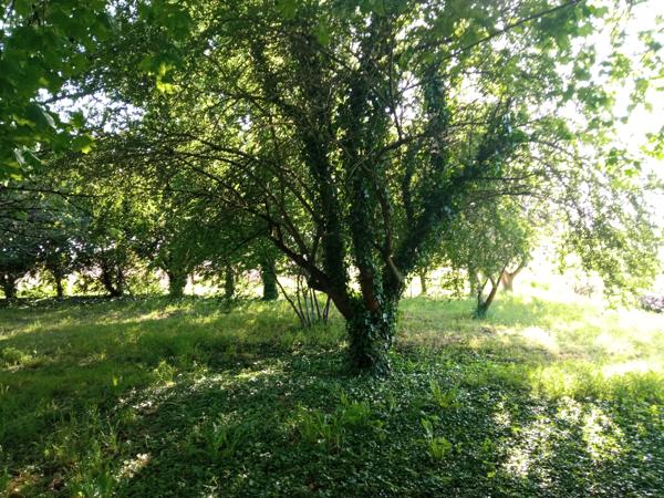 Maison à rénover sur une parcelle arborée de 2400 m2 Détails des diagnostics énergétiques