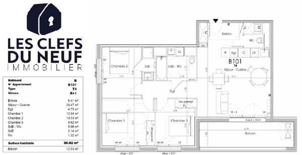 Appartement 4 pièces 80 m2 + terrasse au calme ! CASTELGINEST