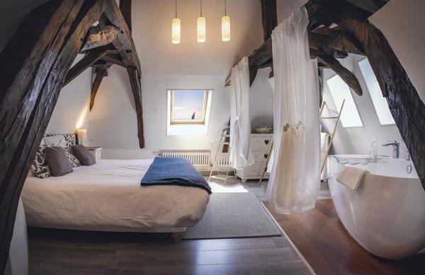 RARE : Chambres d'hôtes sur sîte touristique prisé, 120 000 € de CA/an