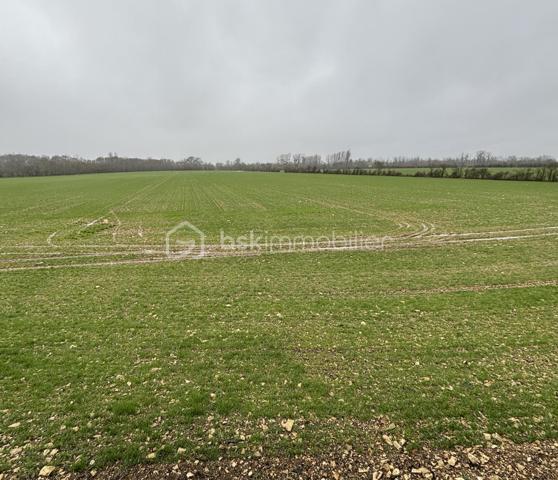 Corps de ferme de 299,98 m²