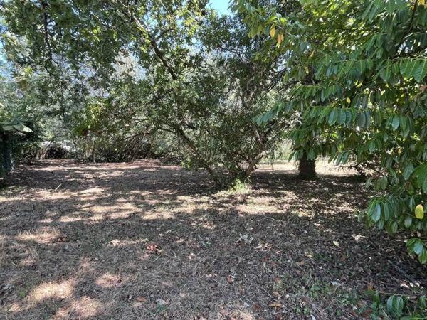 Terrain à vendre |  Labouheyre |  1295 m²