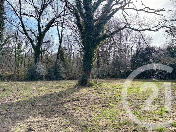 Terrain à vendre  7711 m2 MIOS - 33