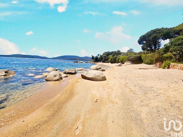 Maison à vendre 4 pièces 136 m² Lecci