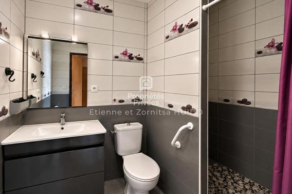 Appartement Villedieu Sur Indre 2 pièce(s) 58 m2
