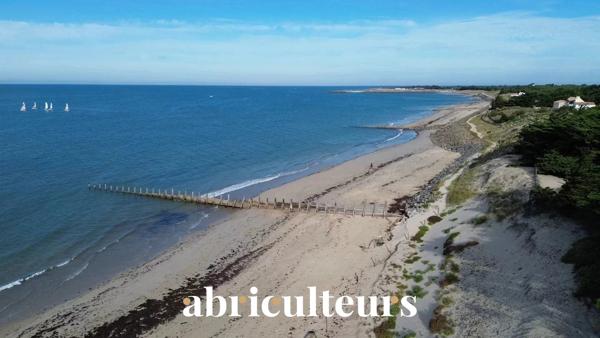 Grande villa de 200m² en front de mer Très belle parcelle aux multiples possibilités en vente à L'Épine (85740)