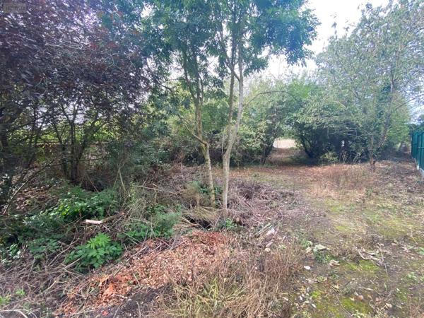 Achat - Terrain à bâtir | Terrain à bâtir Bailleau-l'Évêque 28300 517 m 2
